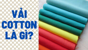 Vải cotton là gì? Ưu nhược điểm và phân loại vải cotton hiện nay