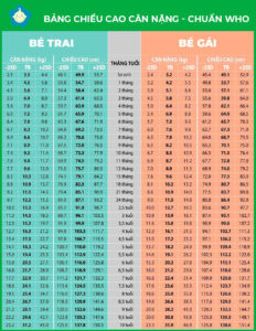 Top 3 mẫu đồ bộ Hàn Quốc cho bé trai đẹp hút hồn